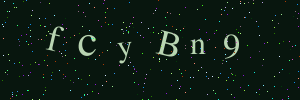 Validation image