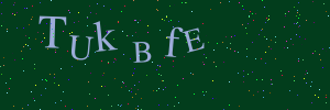 Validation image